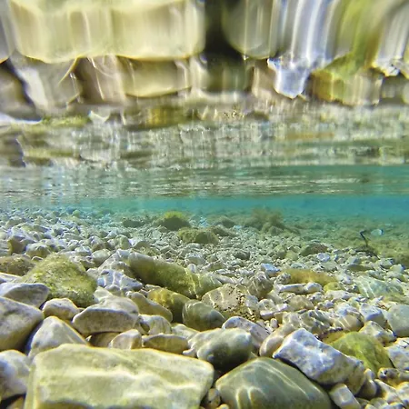 In With Swimming Pool * Bibinje